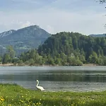 Seechalet Hallstatt شاليه