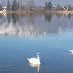 شاليه Seechalet Hallstatt باد غويسرن