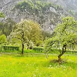 Seechalet Hallstatt باد غويسرن