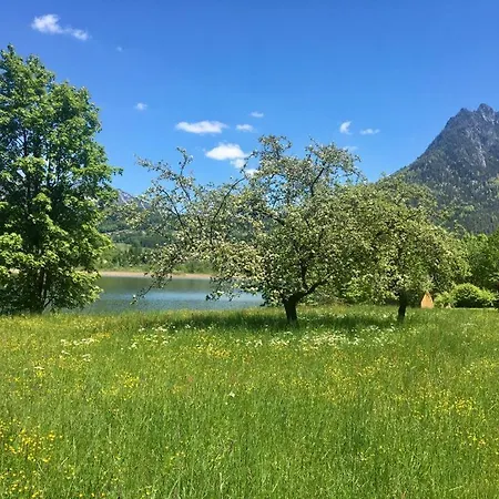 Seechalet Hallstatt Chalet Bad Goisern