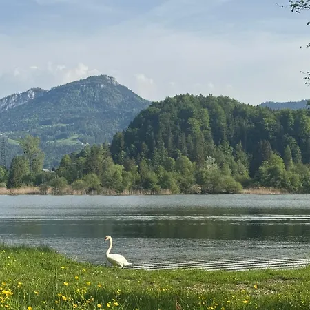 Seechalet Hallstatt Шале
