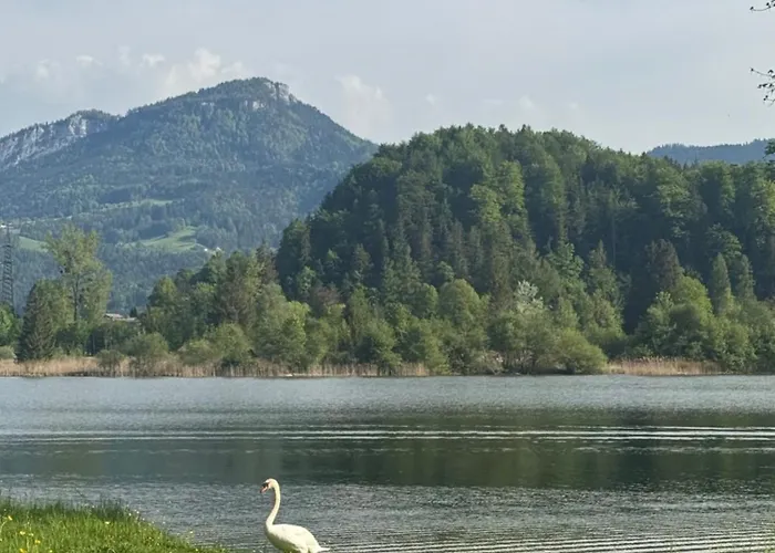 Seechalet Hallstatt Шале