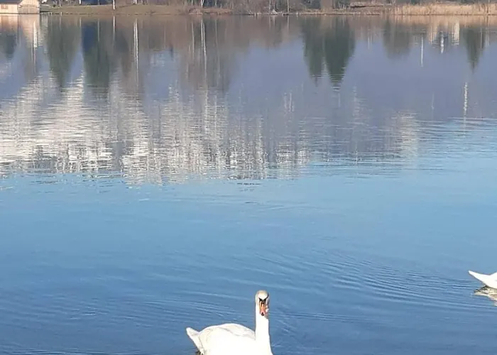 Chalet Seechalet Hallstatt Bad Goisern