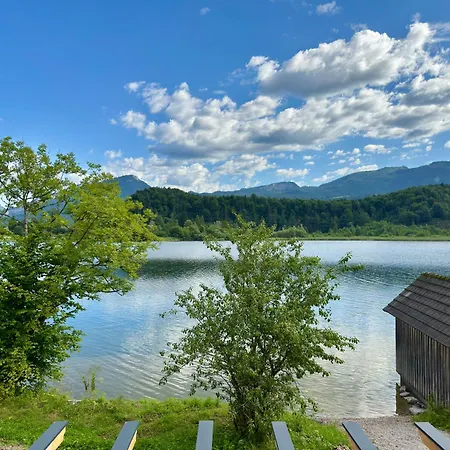 Seechalet Hallstatt شاليه