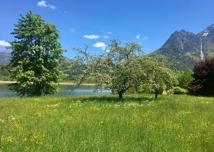 Seechalet Hallstatt شاليه باد غويسرن